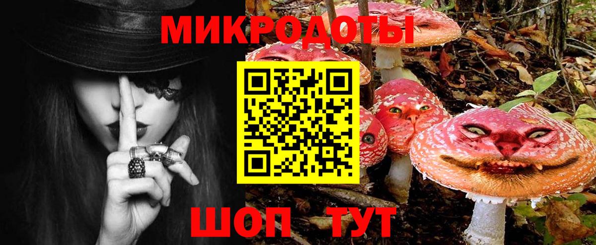 где можно купить   Галлюциногенные грибы мицелий  Вход с VPN  Невинномысск 